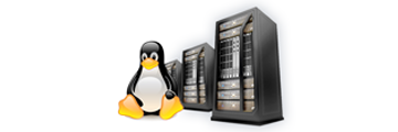 Linux Web Servers